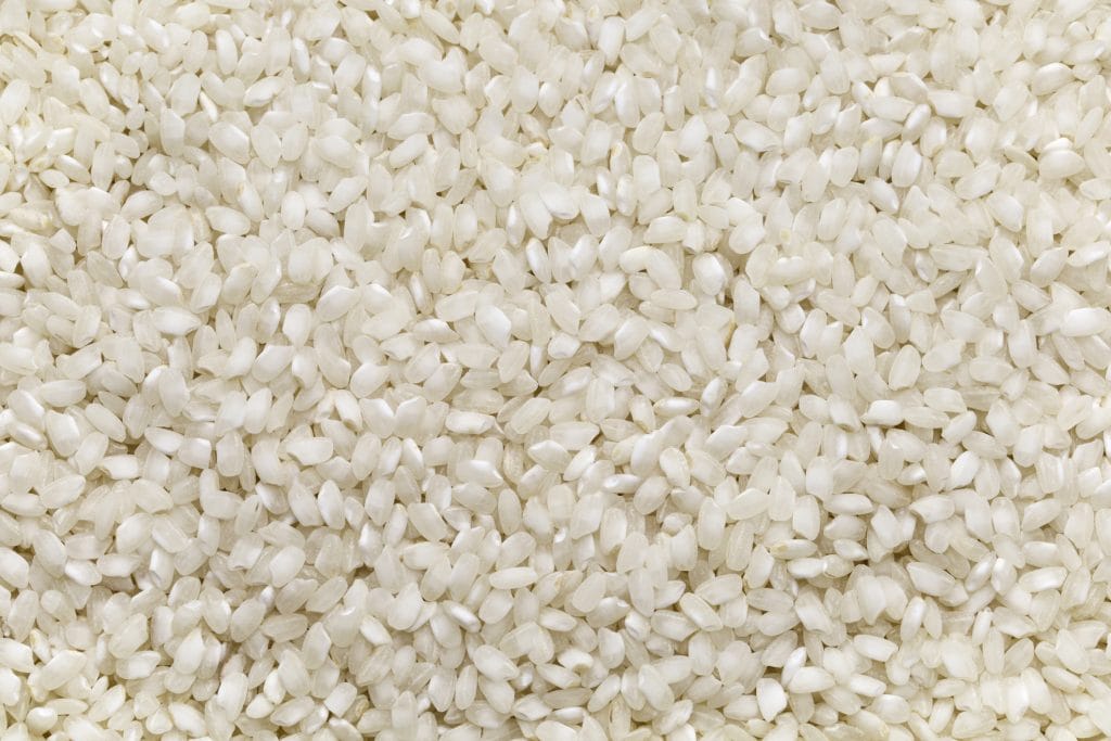 Top view of Valencian bomba rice used in paella.