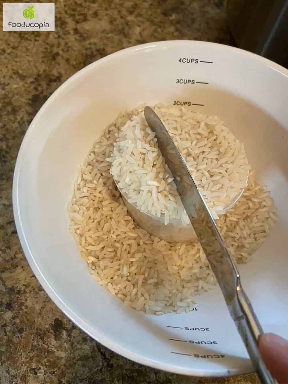 Rice Cooker Cup Size How To Choose The Right Rice Cooker Stretch Recipes