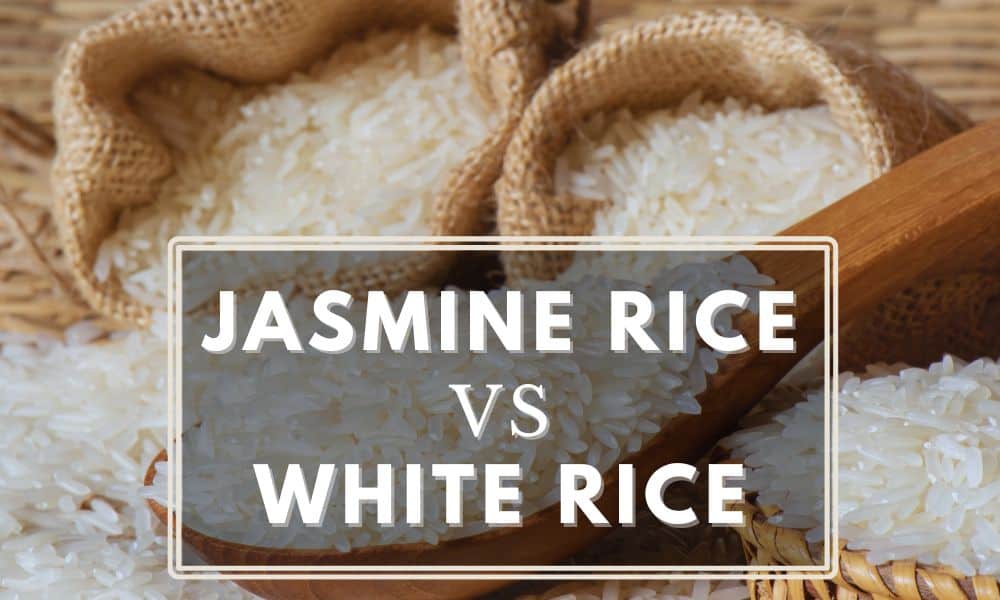 Raw jasmine rice on a spoon and a few scattered around with text "Jasmine Rice vs White Rice"