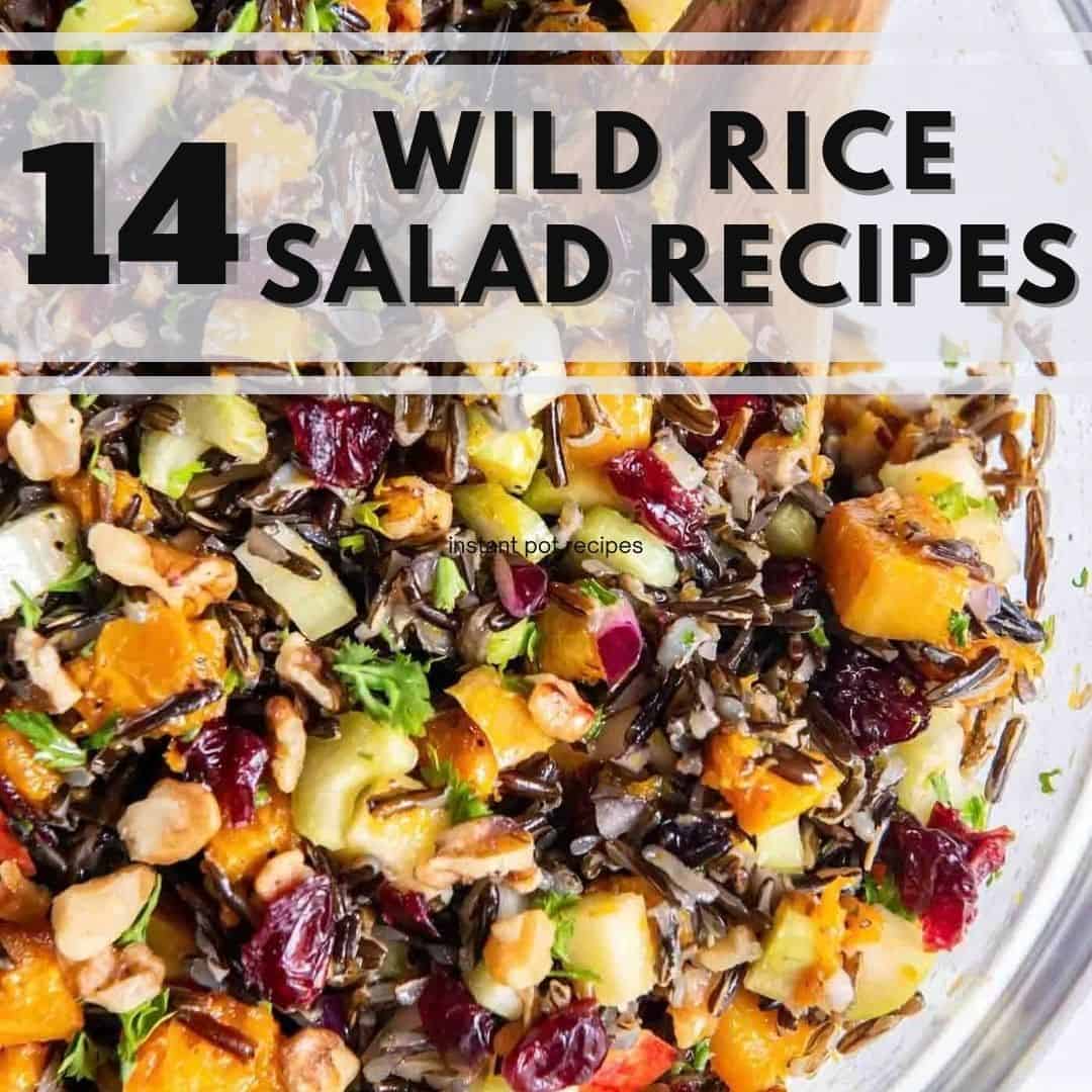 Wild rice salad recipes