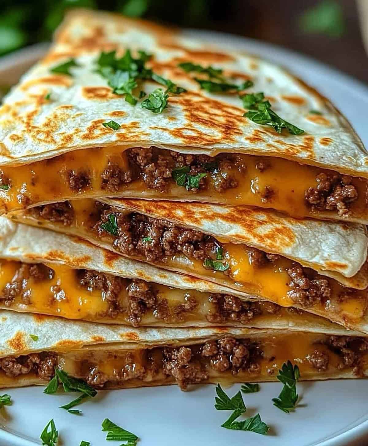 cheese-quesadilla 6. Cheesy Quesadilla