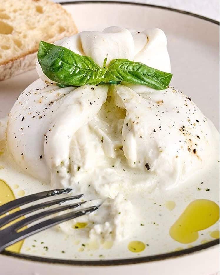 fresh burrata