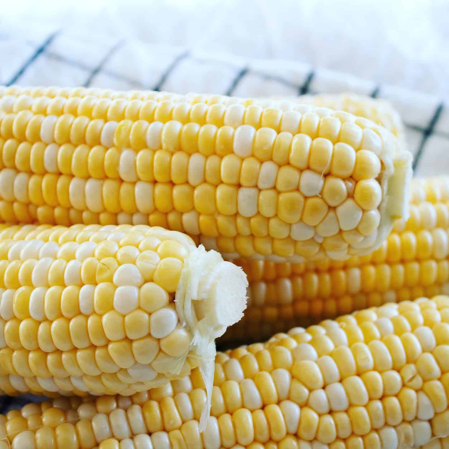fresh-corn-cobs fresh corn cobs