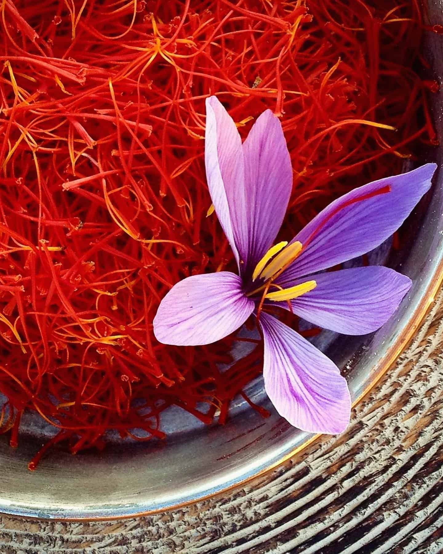 saffron-spice saffron spice