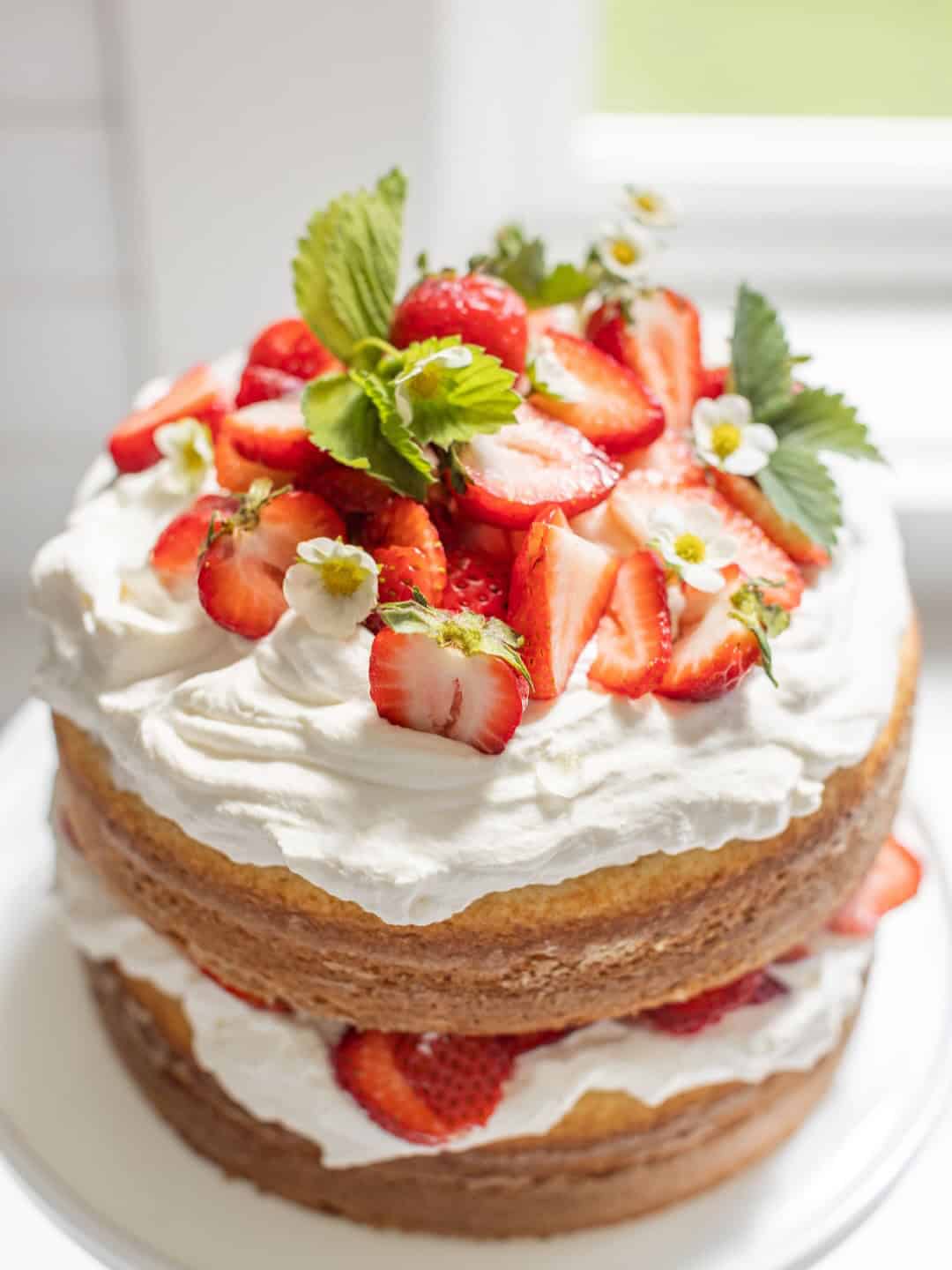 4. Strawberry Shortcake